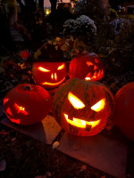 /album/fotogaleria-fotogaleria/img-20251029-wa0007-jpg/